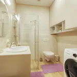 Apartment Mint Druskininkai