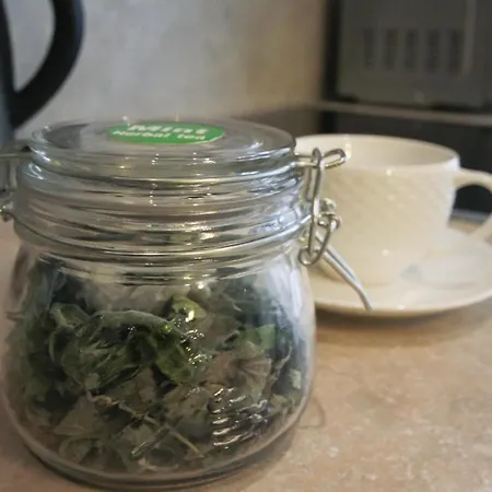 Lejlighed Mint Druskininkai