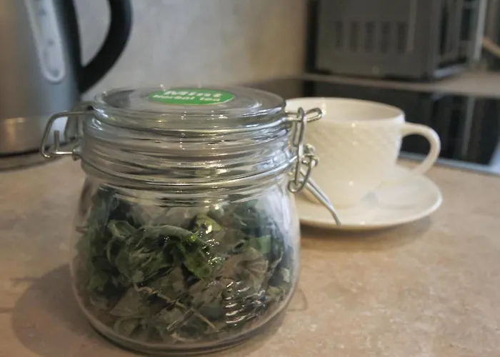 Lejlighed Mint Druskininkai